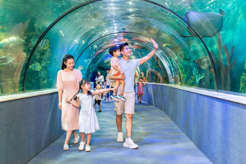 Thủy cung Vinpearl Aquarium