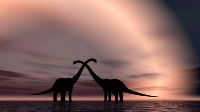 Phần cổ làm nên thương hiệu của khủng long cổ dài