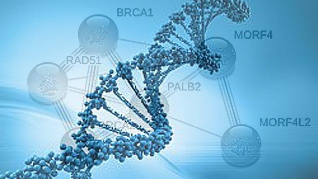 Kiểm tra gen để phát hiện sớm ung thư vú