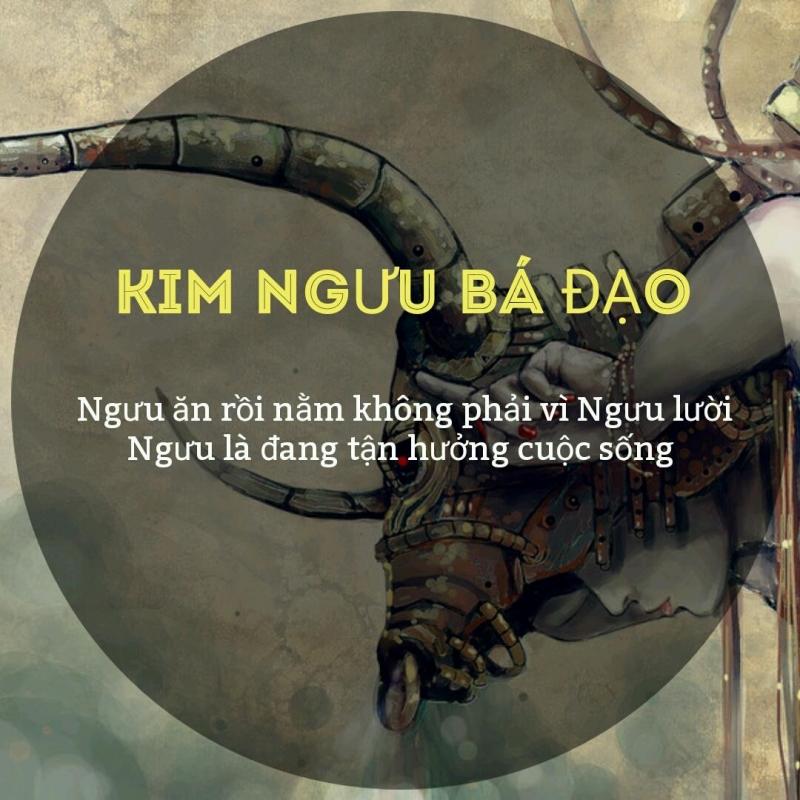 Kim Ngưu không phải lười đâu nhé.