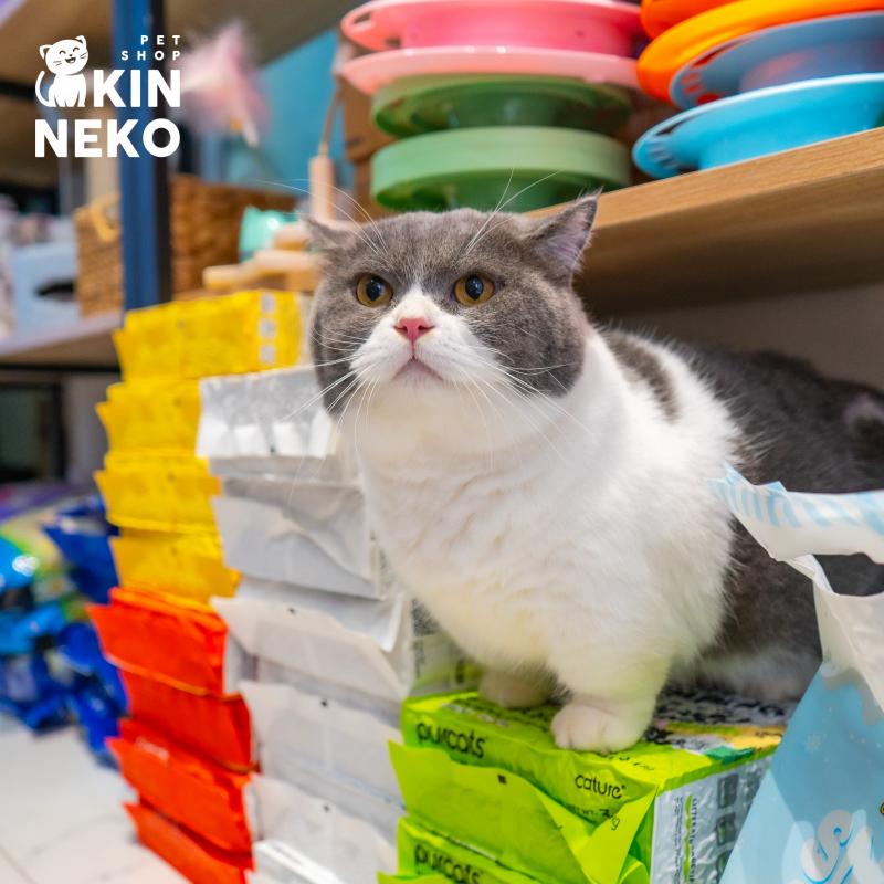 Kin Neko PetShop