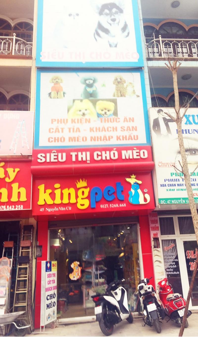 Shop bán phụ kiện thú cưng tốt nhất TP. Hạ Long, Quảng Ninh