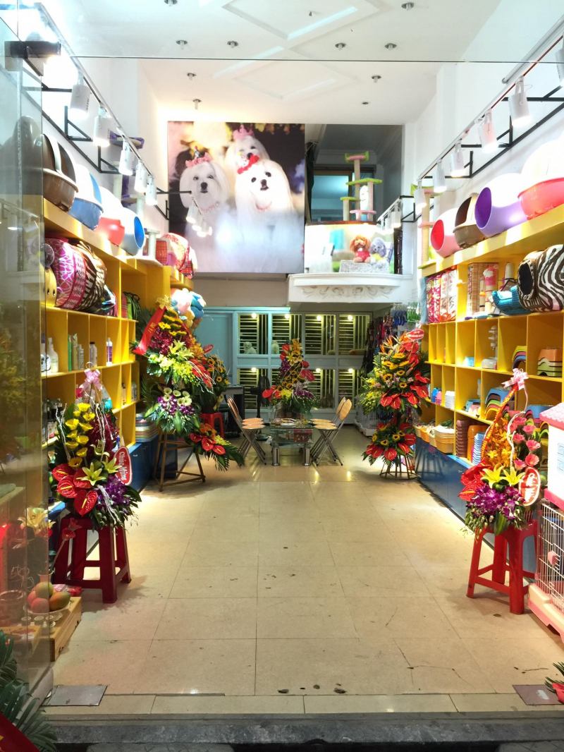Shop bán phụ kiện thú cưng tốt nhất TP. Hạ Long, Quảng Ninh
