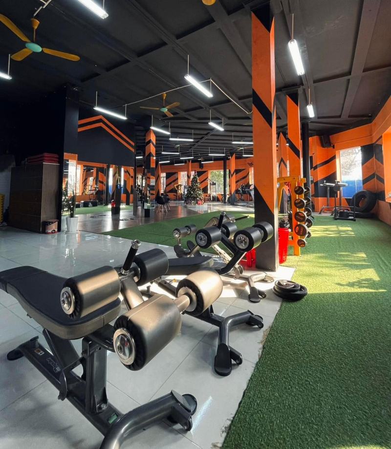 KingGym Phú Thọ