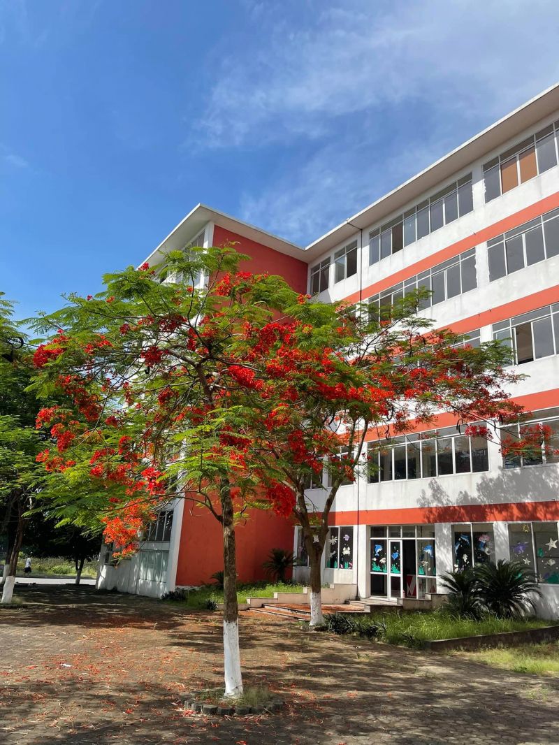 ﻿﻿Kinh Bac International School