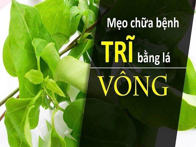 Kinh nghiệm chữa bệnh từ lá vông