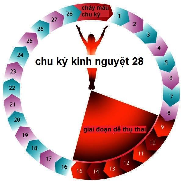 Vòng kinh bị đảo lộn