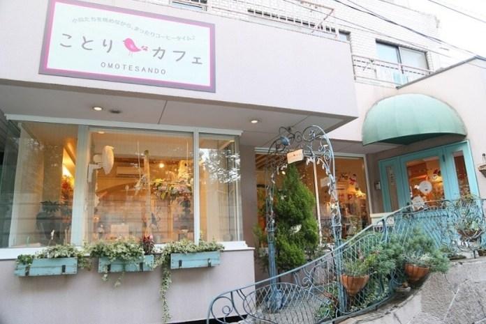 Kotori Café Omotesando, Aoyama