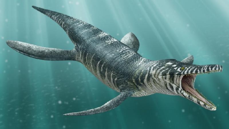 Thủy quái Kronosaurus