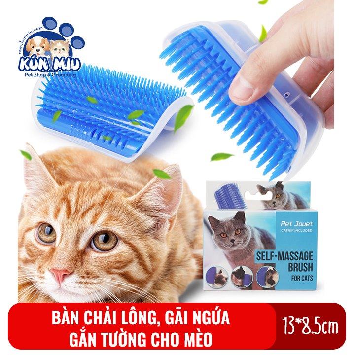 Địa chỉ grooming, phụ kiện và đồ ăn cho thú cưng tốt nhất quận Long Biên, Hà Nội