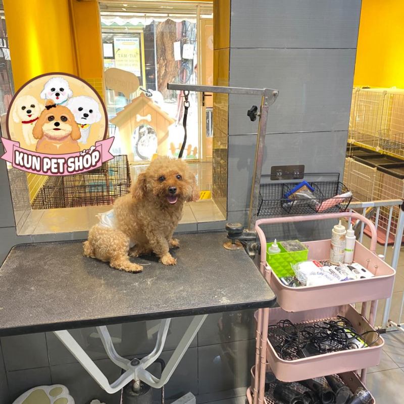 Kun Pet Shop