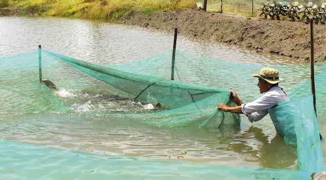 Kỹ thuật, kinh nghiệm và tin tức