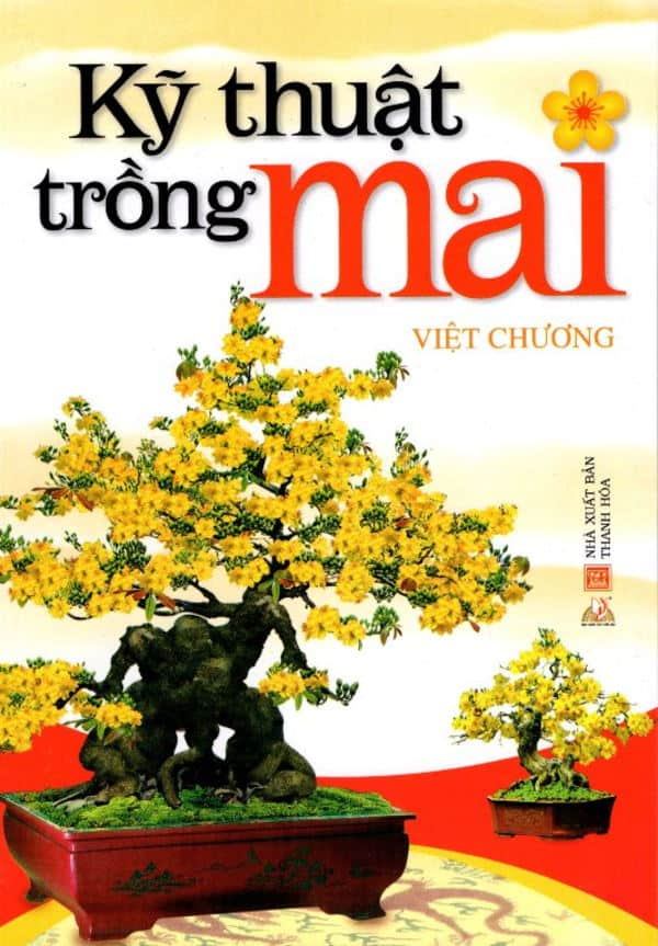 Kỹ Thuật Trồng Mai – Việt Chương