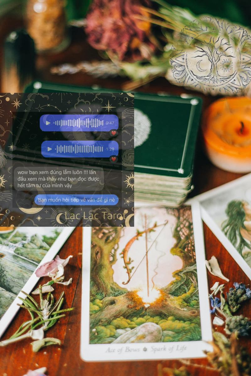 Lạc Lạc Tarot