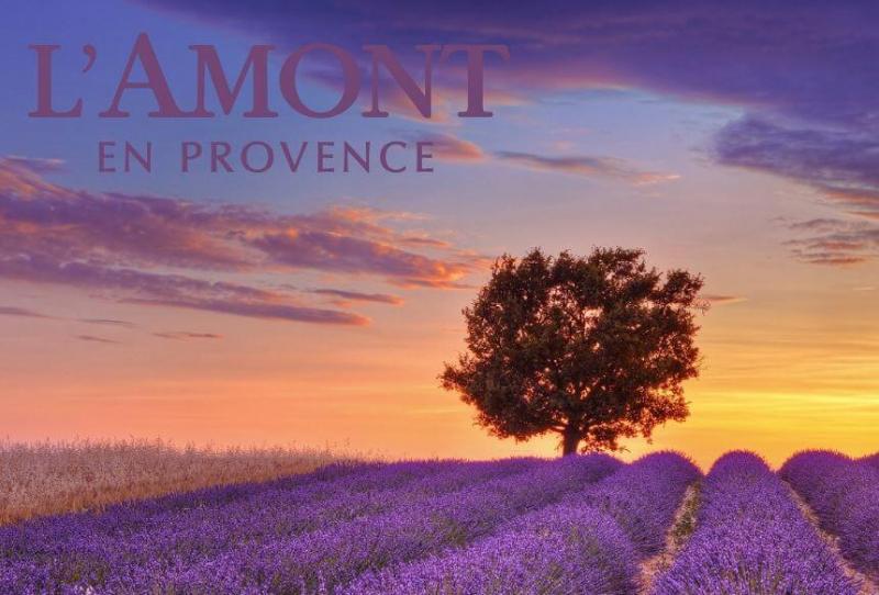 L’Amont En Provence Cherry Blossom & Olive Shower Gel