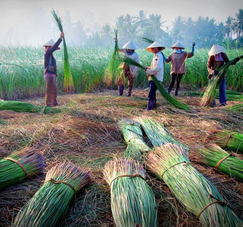 Hoi Hoi mat weaving village