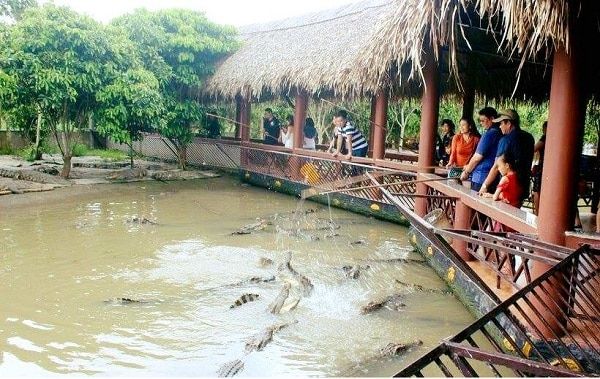 Câu cá sấu tại làng du lịch Mỹ Khánh