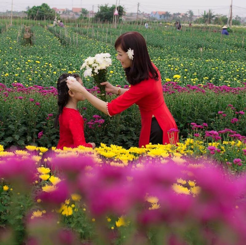 Làng hoa Hạ Lũng, Hải Phòng