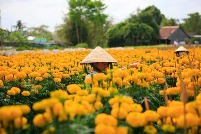 Cổng vào làng hoa Sa Đéc