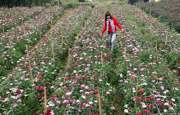 Địa điểm du lịch nổi tiếng tại Vĩnh Phúc