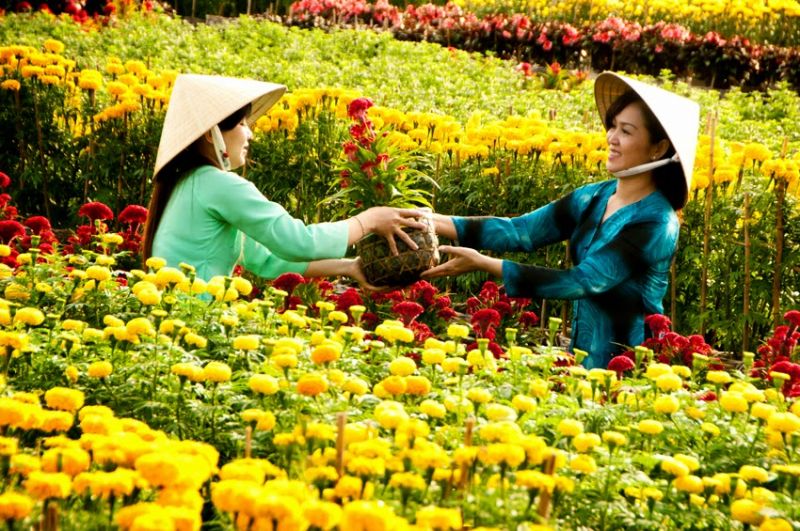 Top 19 làng hoa nổi tiếng nhất ở Việt Nam