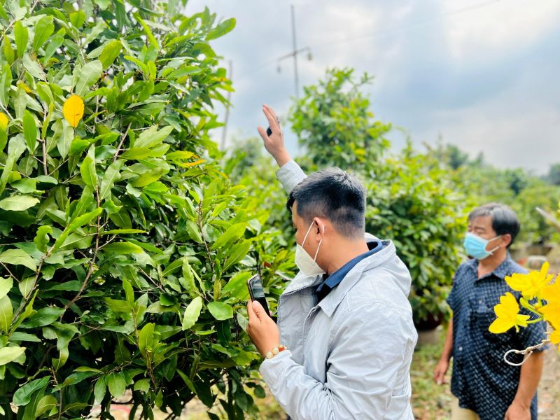 Làng mai Thủ Đức