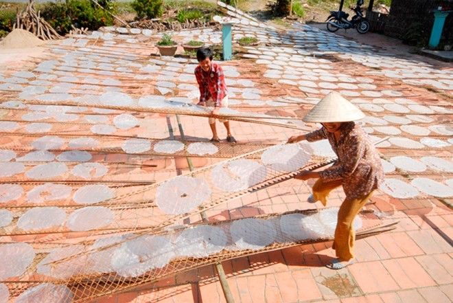 Bánh phồng sau khi cán, được xếp lên các nan tre và đem phơi nắng