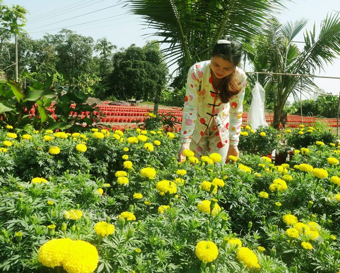 Làng nghề trồng hoa cảnh