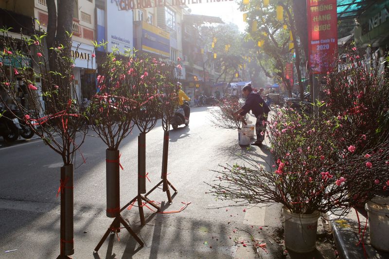 Chợ hoa Tứ Liên