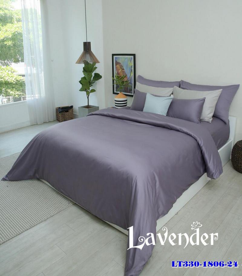 Lavender - Chăn drap Hàn Quốc