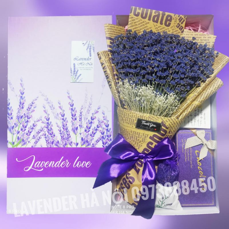 Lavender Hà Nội
