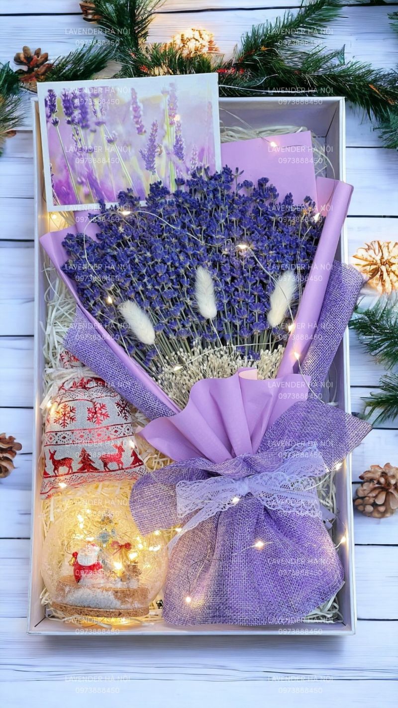 Lavender Hà Nội - Hoa Oải Hương nhập khẩu Pháp