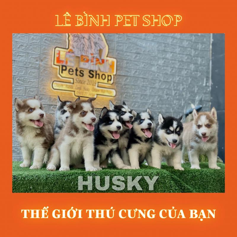 Lê Bình Pets Shop