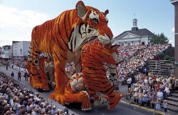 Lễ hội hoa Bloemencorso, Hà Lan và Bỉ