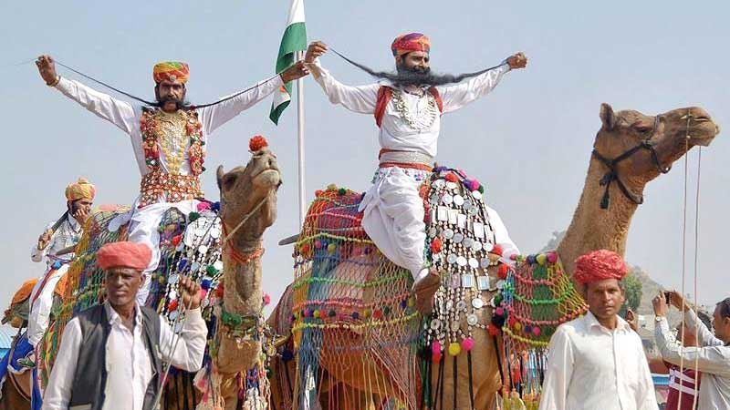 Đây là lễ hội lạc đà lớn nhất của Ấn Độ.