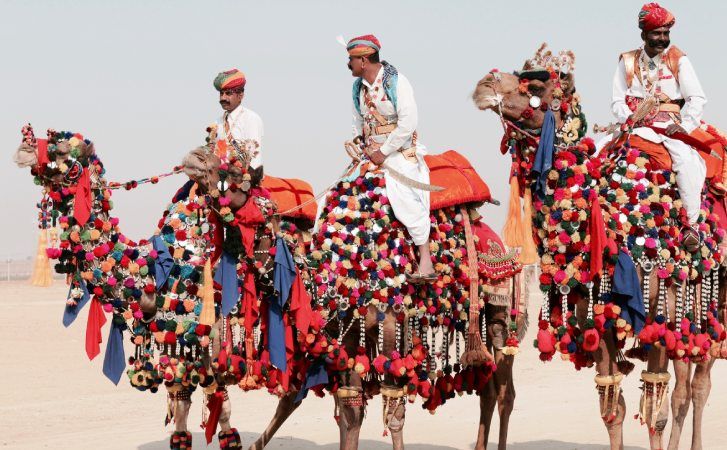 ﻿Với những chú lạc đà rực rỡ sắc màu được đi dạo một vòng trên sa mạc.