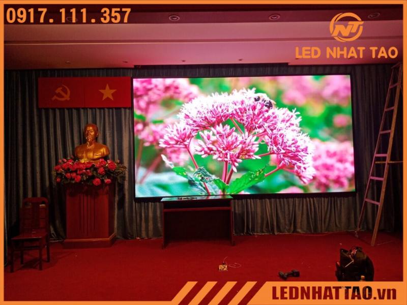 Led Nhật Tảo