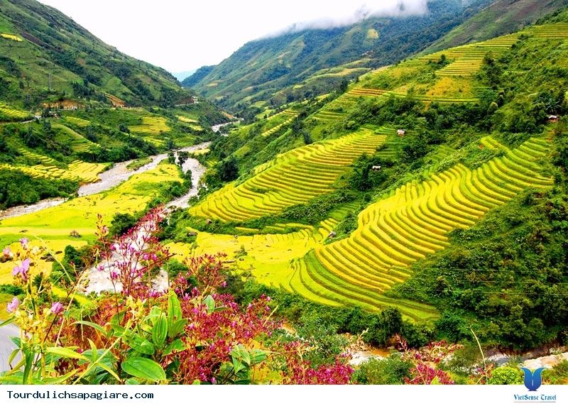 Lên Hàm Rồng ngẩn ngơ cùng nàng tiên của SaPa