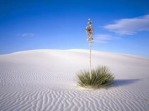 Lencois Maranhenses – Brazil