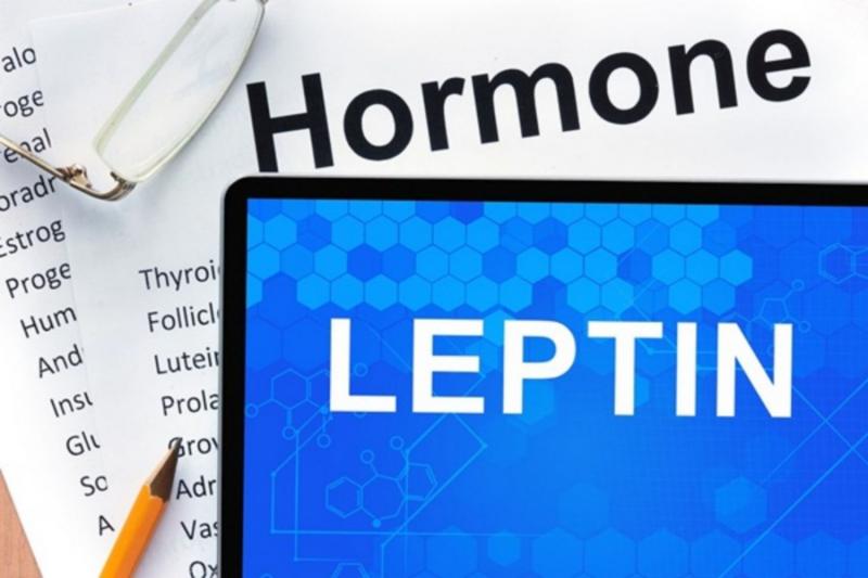 Leptin