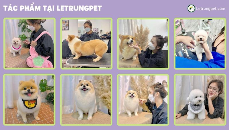 Letrungpet.com