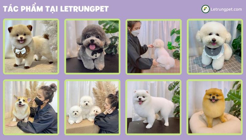 Letrungpet.com