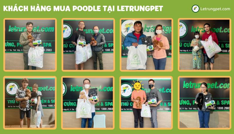 Letrungpet.com