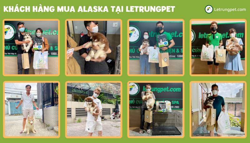 Letrungpet.com