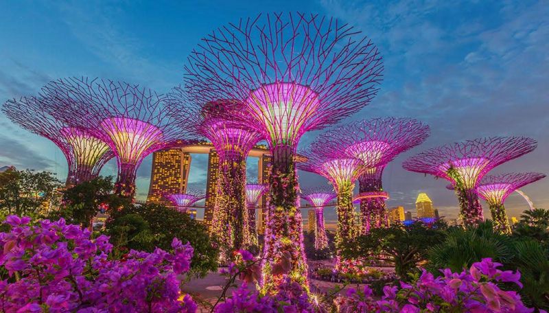 Công viên ánh sáng tại Singapore