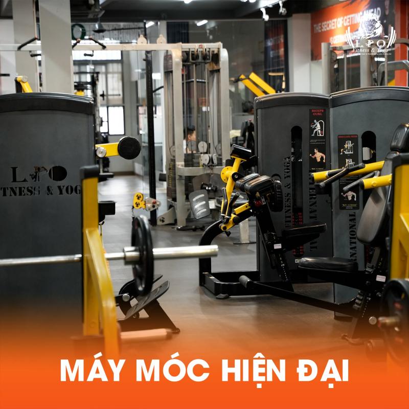 Lio Fitness & Yoga