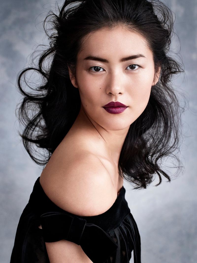 Liu Wen