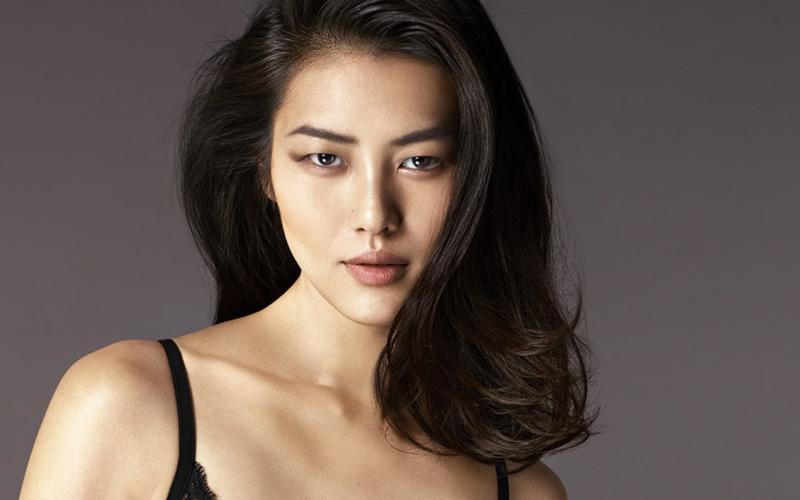 Liu Wen