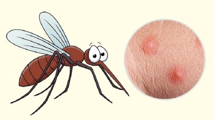 Loài muỗi bị thu hút bởi một cơ thể đẫm mồ hôi