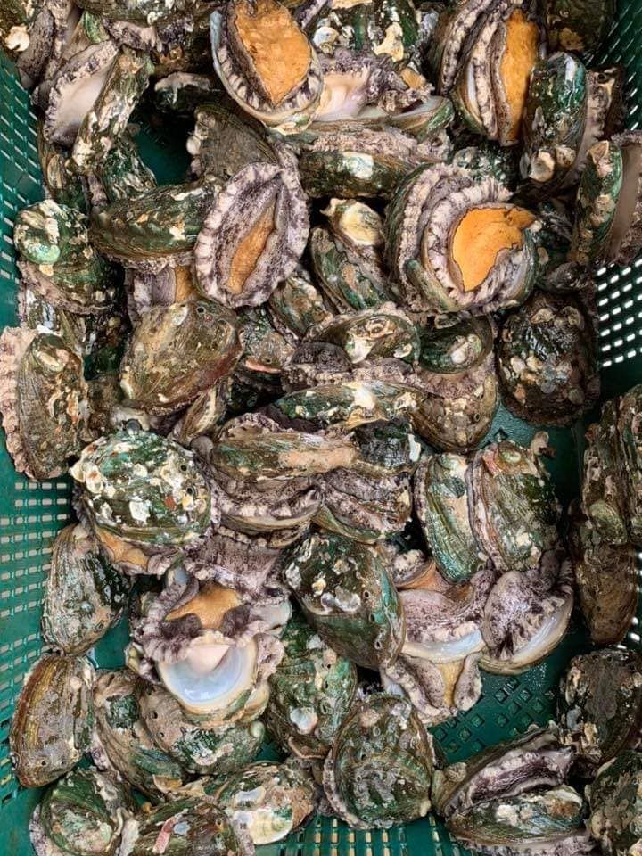 Lộc Biển Seafood - Hải sản Tươi sống Hà Nội